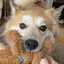 みさきのプロフィール画像