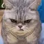 あちゃんのプロフィール画像