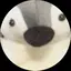 ちーちゃんのプロフィール画像