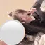 とあのプロフィール画像