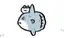 めうのプロフィール画像