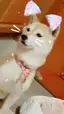 ななママのプロフィール画像