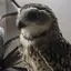 mのプロフィール画像