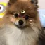麗香のプロフィール画像