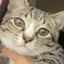 あちゃんのプロフィール画像