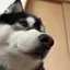 みすずのプロフィール画像