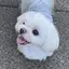 mikiのプロフィール画像