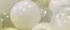 ザコシのプロフィール画像
