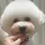 Nanaのプロフィール画像