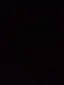 ありのプロフィール画像