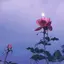 ｵﾘﾁｬﾝのプロフィール画像
