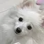 Hirotoのプロフィール画像