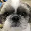 るるのプロフィール画像