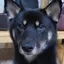 颯午のプロフィール画像