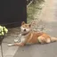 じゅんこのプロフィール画像