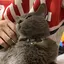 みきのプロフィール画像