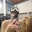 sのプロフィール画像