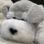 mkのプロフィール画像