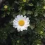 まるのプロフィール画像