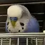 もえかのプロフィール画像