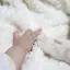 よぴのプロフィール画像