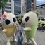 ちひろちャんのプロフィール画像