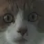 ごとうのプロフィール画像