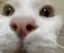 ちゃちゃのプロフィール画像