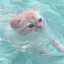 あやかのプロフィール画像