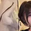 momokaのプロフィール画像