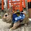 tのプロフィール画像