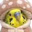 みなのプロフィール画像