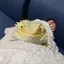 なつかいのプロフィール画像