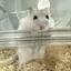 ゆりあのプロフィール画像