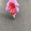 aのプロフィール画像