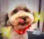 ばろんのプロフィール画像