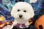 Chiakiのプロフィール画像