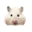 pochakkronのプロフィール画像