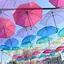 レモンのプロフィール画像