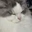 ああのプロフィール画像