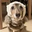 めるのプロフィール画像