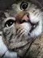 リョウコのプロフィール画像