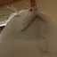 soのプロフィール画像