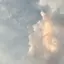 co2のプロフィール画像