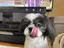 まどかのプロフィール画像