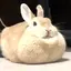 Miyuのプロフィール画像