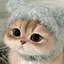 ꜀^. ̫.^꜆のプロフィール画像