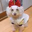 まりなのプロフィール画像