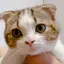 ヒロのプロフィール画像
