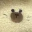 りりのプロフィール画像